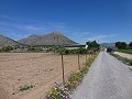 Aspe, plot for sale! - Building Plots for sale in Aspe, Alicante | Alicante, Aspe in Spanish Fincas