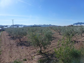 Städtisches Grundstück zum Verkauf - Baugrundstücke zum Verkauf in Macisvenda, Murcia | Alicante, Macisvenda