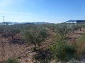 Städtisches Grundstück zum Verkauf - Baugrundstücke zum Verkauf in Macisvenda, Murcia | Alicante, Macisvenda in Spanish Fincas