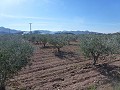 Stedelijke grond te koop - Bouwpercelen te koop in Macisvenda, Murcia | Alicante, Macisvenda in Spanish Fincas