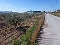 Urban Land for sale - Building Plots for sale in Macisvenda, Murcia | Alicante, Macisvenda in Spanish Fincas