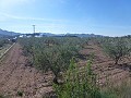 Urban Land for sale - Building Plots for sale in Macisvenda, Murcia | Alicante, Macisvenda in Spanish Fincas