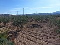 Stedelijke grond te koop - Bouwpercelen te koop in Macisvenda, Murcia | Alicante, Macisvenda in Spanish Fincas