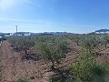 Urban Land for sale - Building Plots for sale in Macisvenda, Murcia | Alicante, Macisvenda in Spanish Fincas