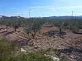 Stedelijke grond te koop - Bouwpercelen te koop in Macisvenda, Murcia | Alicante, Macisvenda in Spanish Fincas