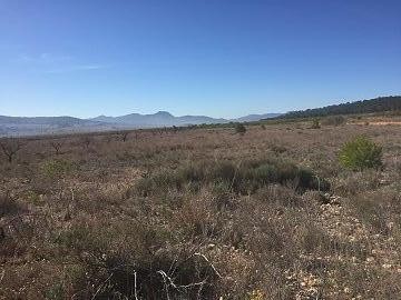 Grundstücke zum Verkauf in Salinas, Alicante