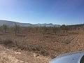 Terrains à vendre à Salinas, Alicante in Spanish Fincas