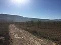 Plots of Land for Sale in Salinas, Alicante in Spanish Fincas