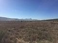 Plots of Land for Sale in Salinas, Alicante in Spanish Fincas