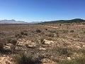 Plots of Land for Sale in Salinas, Alicante in Spanish Fincas