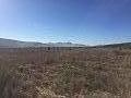 Plots of Land for Sale in Salinas, Alicante in Spanish Fincas