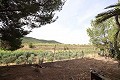 Maison de campagne avec piscine dans un bel endroit in Spanish Fincas