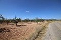 Terrain constructible avec amandiers in Spanish Fincas