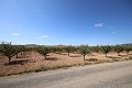 Terreno edificable con almendros in Spanish Fincas