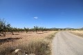 Terreno edificable con almendros in Spanish Fincas