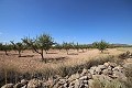 Building plot of land with almond trees in Spanish Fincas