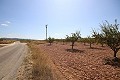 Baugrundstück mit Mandelbäumen in Spanish Fincas