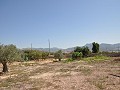 Grande maison familiale de 4 chambres avec maison d'hôtes de 4 chambres in Spanish Fincas