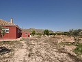 Grande maison familiale de 4 chambres avec maison d'hôtes de 4 chambres in Spanish Fincas