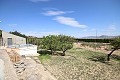 Casa de campo independiente cerca de Monóvar con excelentes vistas in Spanish Fincas