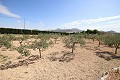 Casa de campo independiente cerca de Monóvar con excelentes vistas in Spanish Fincas