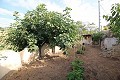 Maison troglodyte de 4 chambres à Casas del Senor in Spanish Fincas