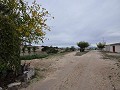 Proyecto de restauración de una casa cueva cerca de Jumilla in Spanish Fincas