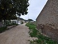 Cave house restoration project close to Jumilla in Spanish Fincas