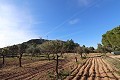 Villa met 6 Slaapkamers in Yecla in Spanish Fincas