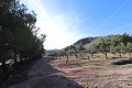 Villa met 6 Slaapkamers in Yecla in Spanish Fincas