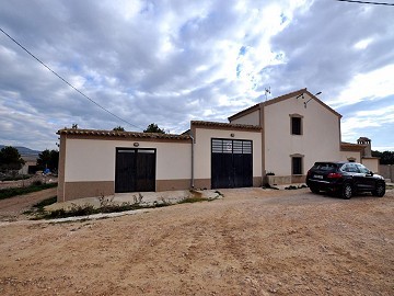 Erstaunliche Landfinca in Yecla