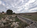 Finca de campagne incroyable à Yecla in Spanish Fincas