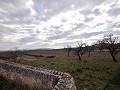 Finca de campagne incroyable à Yecla in Spanish Fincas