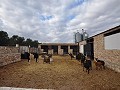 Large Stable complex - suitable to go with 13415 in Spanish Fincas