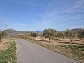 15.000m2 bouwgrond in Salinas met water - elektrische afsluiting in Spanish Fincas