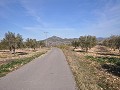 15,000m2 of building land in Salinas with water - electric close in Spanish Fincas