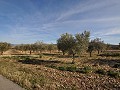 15,000m2 de terreno edificable en Salinas con agua - electricidad cerca in Spanish Fincas