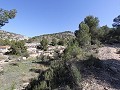 Landelijke villa met 3 slaapkamers en 2 badkamers in een nationaal park in Spanish Fincas