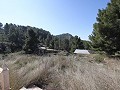 Villa de campagne de 3 chambres et 2 salles de bain dans un parc national in Spanish Fincas