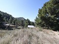 Landelijke villa met 3 slaapkamers en 2 badkamers in een nationaal park in Spanish Fincas