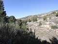 Villa de campagne de 3 chambres et 2 salles de bain dans un parc national in Spanish Fincas