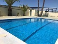 Gran Casa de Campo con negocio de mármol y plantación de uva in Spanish Fincas