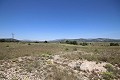 Gran Casa de Campo con negocio de mármol y plantación de uva in Spanish Fincas