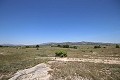 Grande maison de campagne avec commerce de marbre et plantation de raisin in Spanish Fincas