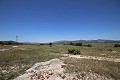 Gran Casa de Campo con negocio de mármol y plantación de uva in Spanish Fincas