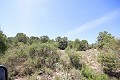 Gran Casa de Campo con negocio de mármol y plantación de uva in Spanish Fincas