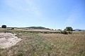 Gran Casa de Campo con negocio de mármol y plantación de uva in Spanish Fincas