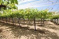 Grande maison de campagne avec commerce de marbre et plantation de raisin in Spanish Fincas