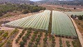 Grande maison de campagne avec commerce de marbre et plantation de raisin in Spanish Fincas