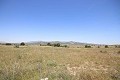 Gran Casa de Campo con negocio de mármol y plantación de uva in Spanish Fincas